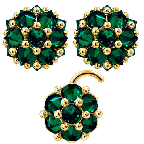 Earrings Nose Stud Set