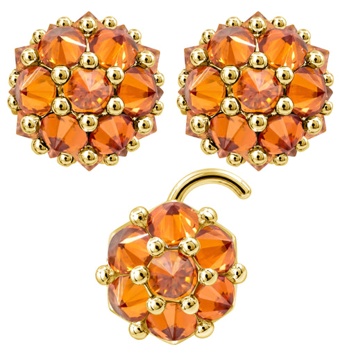 Earrings Nose Stud Set