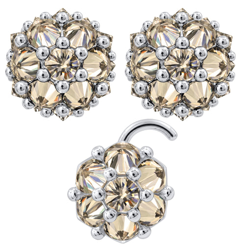 Earrings Nose Stud Set