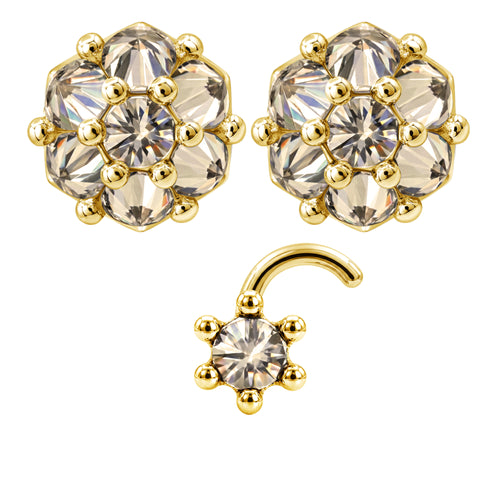 Earrings Nose Stud Set