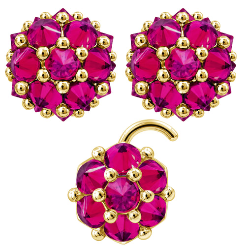 Earrings Nose Stud Set