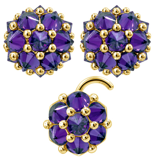 Earrings Nose Stud Set