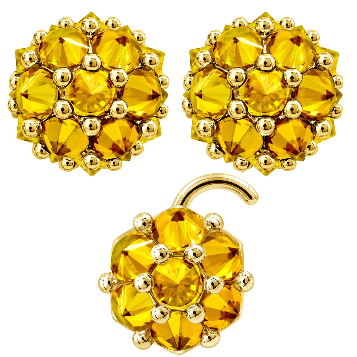 Earrings Nose Stud Set