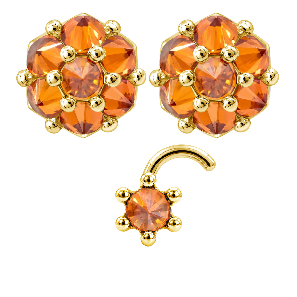 Earrings Nose Stud Set