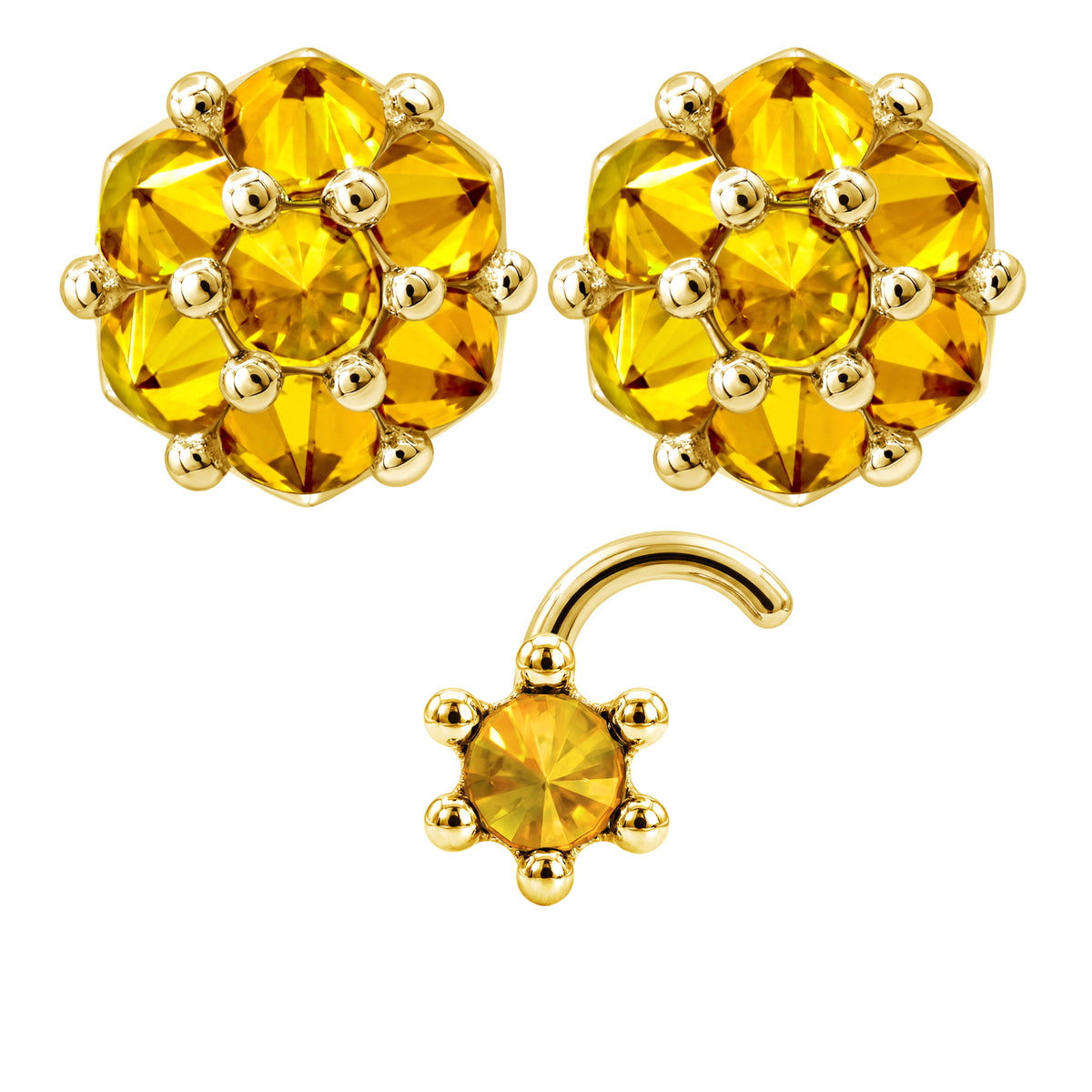 Earrings Nose Stud Set