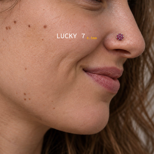 Earrings Nose Stud Set